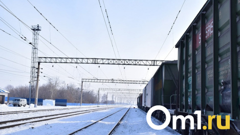 Поезд насмерть сбил 14-летнюю школьницу в Новосибирской области