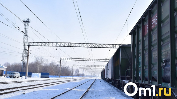 Поезд насмерть сбил 14-летнюю школьницу в Новосибирской области