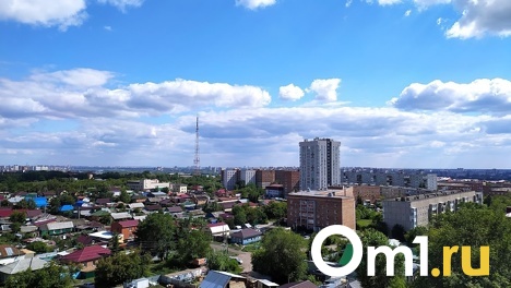 Берегите детей! Упитанный пожилой омич заманивает девочек в кусты