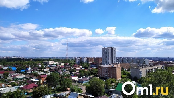 Берегите детей! Упитанный пожилой омич заманивает девочек в кусты