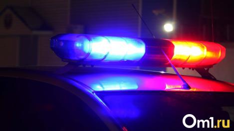 В Омске сотрудники ДПС с мигалками довезли роженицу до больницы