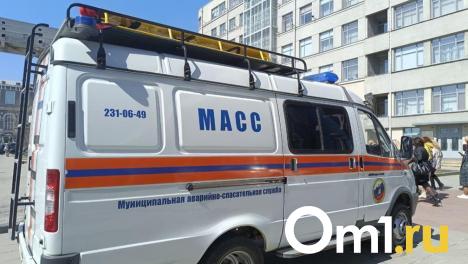 Тело пенсионера обнаружили спасатели МАСС в Новосибирске