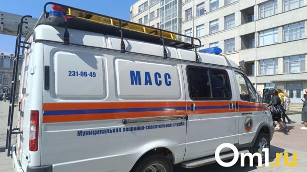Тело пенсионера обнаружили спасатели МАСС в Новосибирске