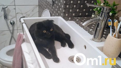 На следующей неделе некоторые омичи останутся без воды