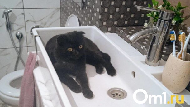 На следующей неделе некоторые омичи останутся без воды