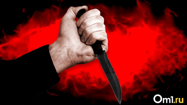 10-летний ребёнок ударил ножом в живот 12-летнего под Новосибирском