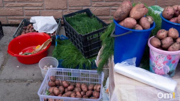 В Омском муниципальном районе началась уборочная кампания