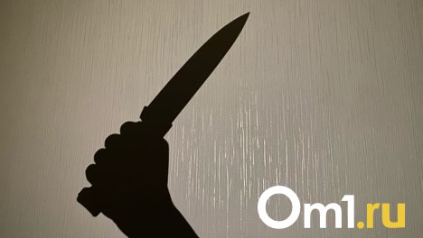 Жительница Омской области понесёт наказание за убийство мужчины в Международный женский день