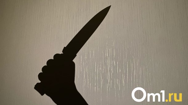 Жительница Омской области понесёт наказание за убийство мужчины в Международный женский день
