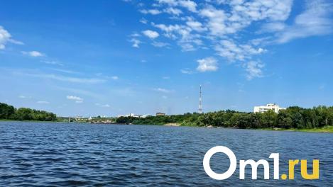 На Левом берегу Омска продают таунхаус с озером для плавания