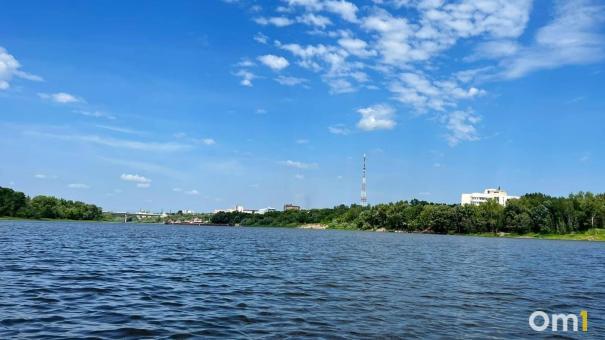 На Левом берегу Омска продают таунхаус с озером для плавания
