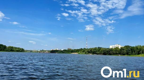 На Левом берегу Омска продают таунхаус с озером для плавания