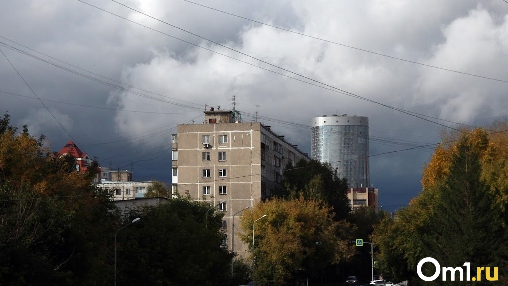 Дожди и грозы придут в Новосибирскую область в выходные