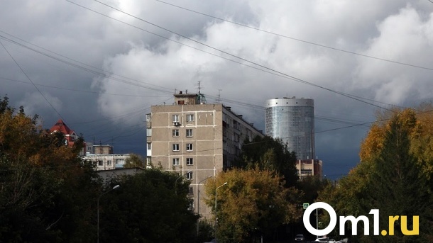Дожди и грозы придут в Новосибирскую область в выходные