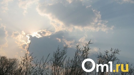 Резкое похолодание после тёплых выходных ожидает новосибирцев в понедельник