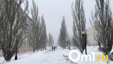 Омичей ждёт очень снежная неделя
