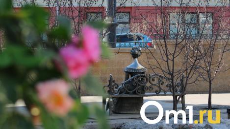 Омичам могут запретить устраивать ночные тусовки на Ленина