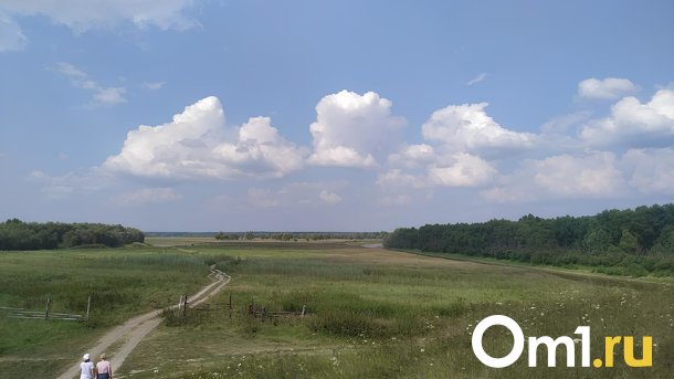Омичи смогут арендовать охотничьи угодья за 3 тысячи в год