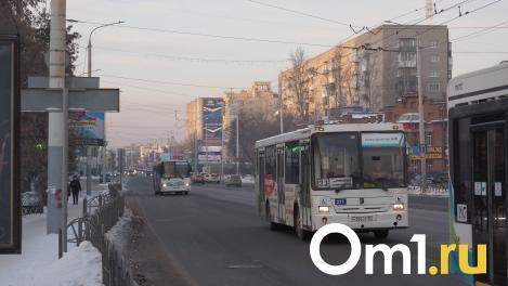 Появились фото нового дизайна омских автобусов