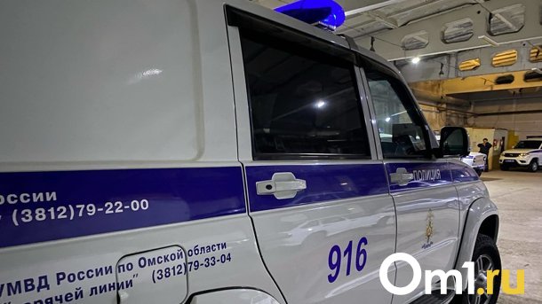 Омич грабил магазины с помощью детской коляски
