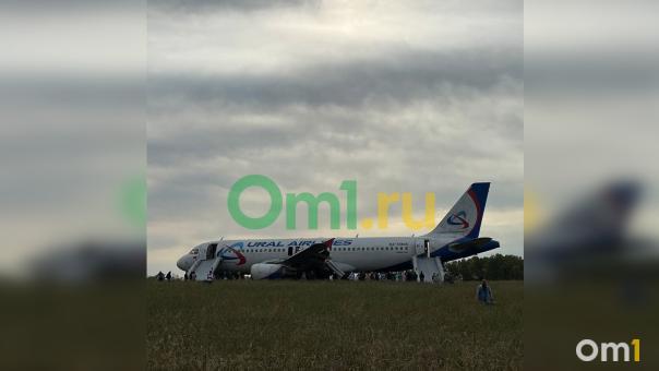 Пассажиры рейса Сочи-Омск начали получать компенсацию за посадку в пшеничном поле