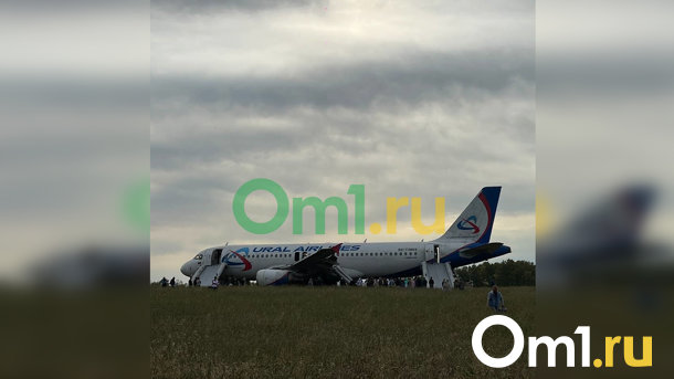Пассажиры рейса Сочи-Омск начали получать компенсацию за посадку в пшеничном поле