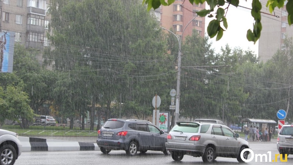 Дождливую погоду в июле-2022 прогнозируют в Новосибирской области