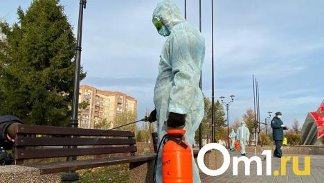 В Роспотребнадзоре рассказали, грозит ли омичам новый вирус Марбург
