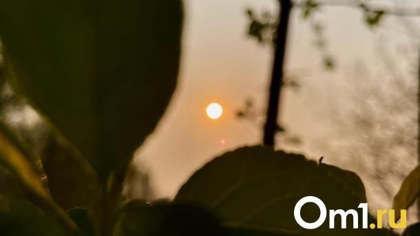 Гигантская дыра на Солнце: Омск ждут мощные магнитные бури с серьёзными последствиями