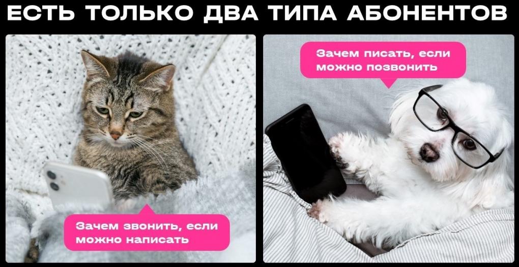 Районы-кварталы: кто больше всех звонит и качает в Омске