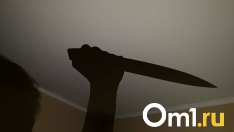 Толкал в спину и оскорблял: молодой омич отправится в колонию за угрозы ножом полицейскому