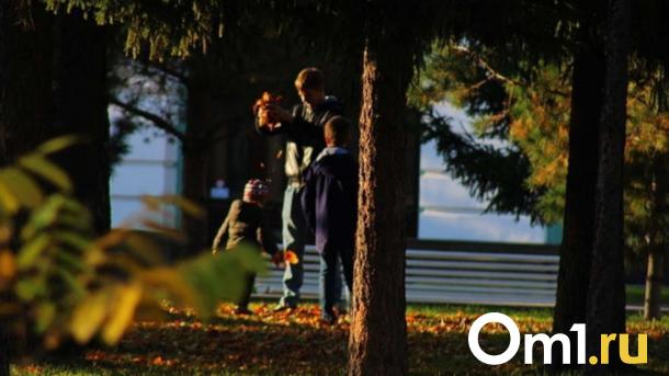 Активисты протестуют против вырубки деревьев в Новосибирске