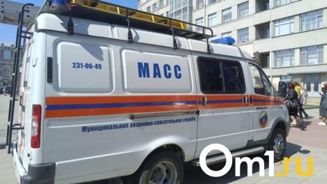 Спасли пушистика: новосибирские спасатели освободили кошку из сливной системы