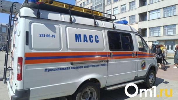 Спасли пушистика: новосибирские спасатели освободили кошку из сливной системы