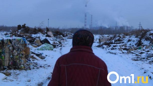 Новосибирские депутаты обсудили законопроекты о борьбе со стихийными свалками
