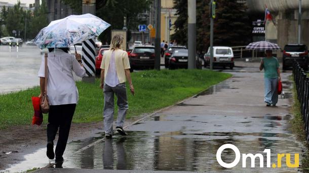 Омичей ждёт тёплый понедельник с дождём