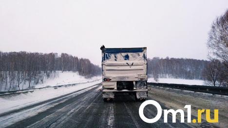 В Омске три путепровода закроются для большегрузов из-за аварийного состояния