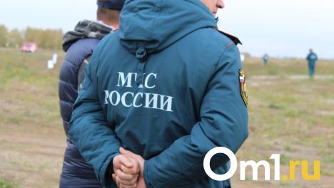 По домам омичей ходят «сотрудники МЧС», сбывающие технику