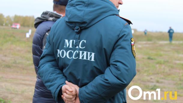 По домам омичей ходят «сотрудники МЧС», сбывающие технику
