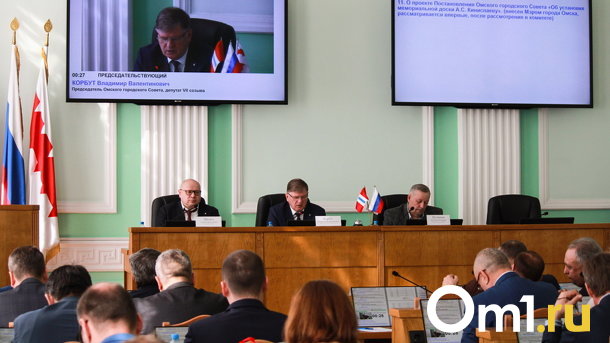 Депутаты Омского горсовета впервые отчитались о доходах, не называя цифр