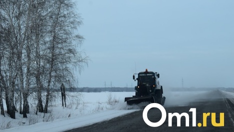 Берегите детей. Жизнь омских школьников регулярно подвергали опасности из-за разбитой дороги