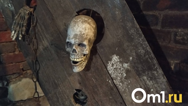 Таинственные останки обнаружили волонтёры во время поисков исчезнувшей женщины в Бердске