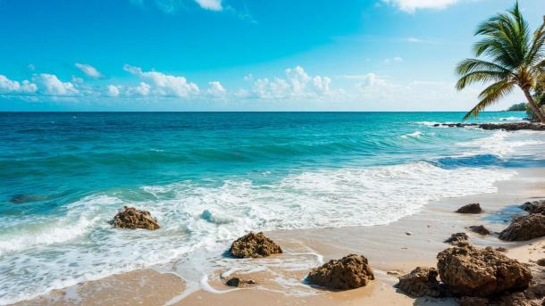 Природа снижает тревожность на 70% — психолог объяснила, почему