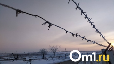 В Омске начнётся суд над педофилом, который изнасиловал 9-летнюю девочку в посёлке Новоомский