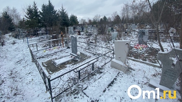 «Неудобно перед Михалковым»: в Новосибирске могут отменить конкурс по копанию могил