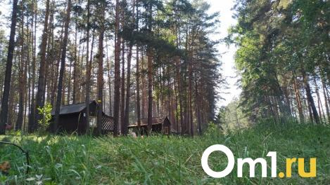 Под Омском построят базу отдыха на 600 человек