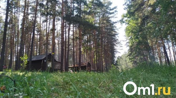 Под Омском построят базу отдыха на 600 человек
