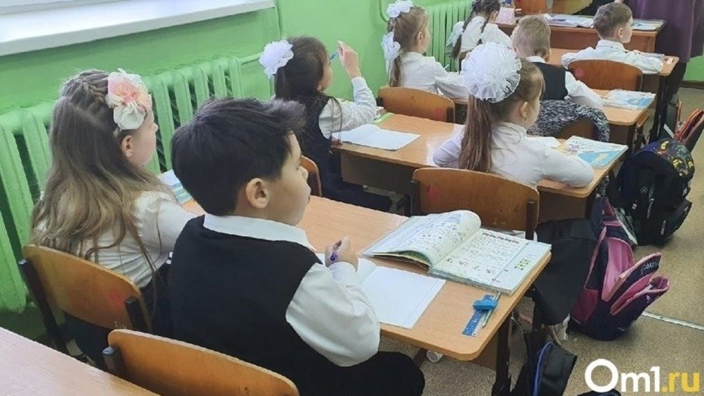 В Новосибирске директор дала ответ бастующим родителям школьников