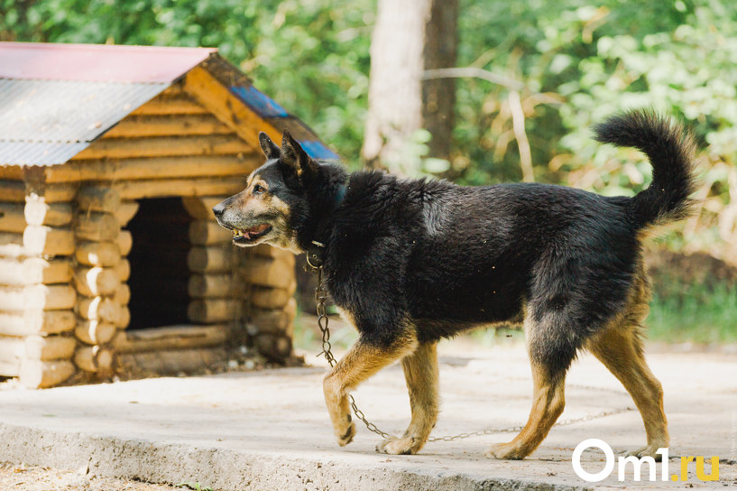 Изображение фоторепортажа