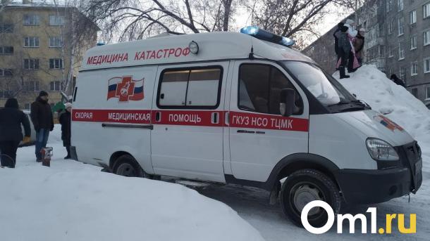 В Омске женщина попала под КамАЗ и погибла